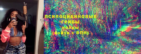 дживик Алексин